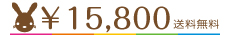 \15800