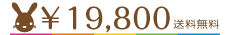 \19800