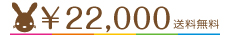 \22000