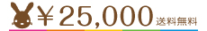 \25000