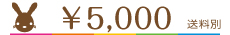 \5000