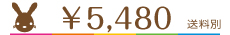 \5480