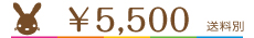 \5500