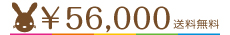 \56000