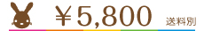 \5800