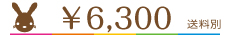 \6300