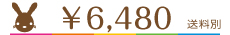 \6480