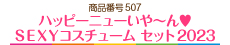 ハッピーニューいや～ん♥　ＳＥＸＹコスチューム セット2023