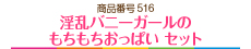 淫乱バニーガールのもちもちおっぱい セット