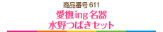 愛撫ing名器水野つばきセット