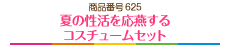 夏の性活を応燕するコスチュームセット
