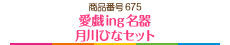 愛戯ing名器　月川ひなセット