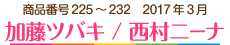 2017年3月