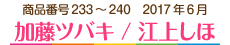 2017年6月