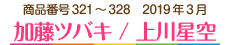 2019年3月